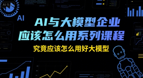 AI与大模型企业应该怎么用系列课程，究竟应该怎么用好大模型-仙女副业网