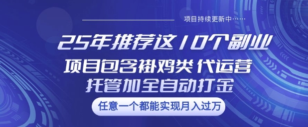 25年推荐这10个副业项目包含褂鸡类、代运营托管类、全自动打金类【揭秘】-仙女副业网