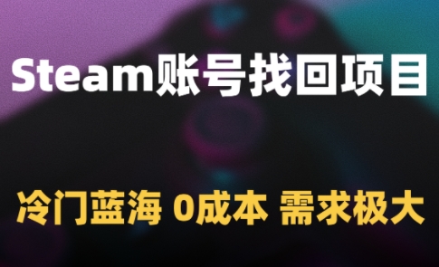 Steam账号找回项目，冷门蓝海，0成本，需求极大-仙女副业网