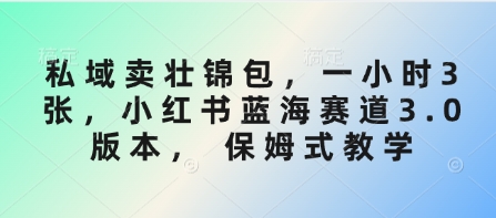 私域卖壮锦包，一小时3张，小红书蓝海赛道3.0版本， 保姆式教学-仙女副业网