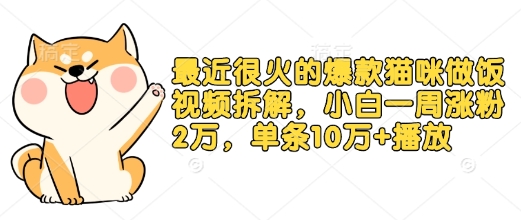 最近很火的爆款猫咪做饭视频拆解，小白一周涨粉2万，单条10万+播放(附保姆级教程)-仙女副业网