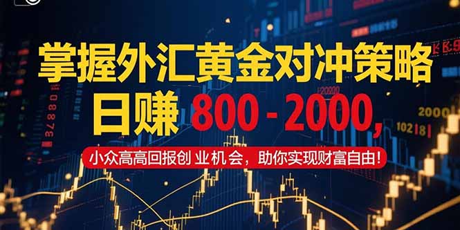 掌握外汇黄金对冲策略，日赚 800 - 2000，小众高回报创业机会，助你实...-仙女副业网