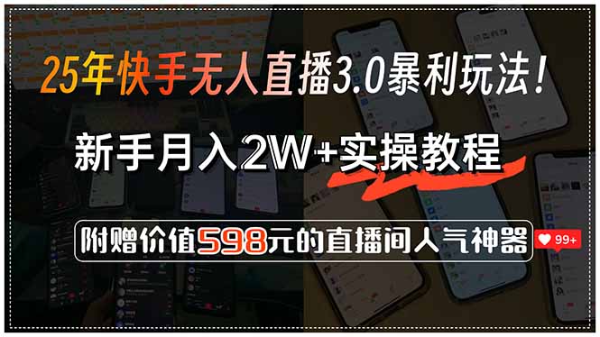 25年快手无人直播3.0暴利玩法！，新手月入2W+实操教程，附赠价值598元...-仙女副业网