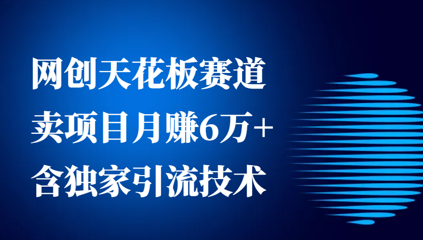 网创天花板赛道，卖项目月赚6万+，含独家引流技术(共26节课)-仙女副业网