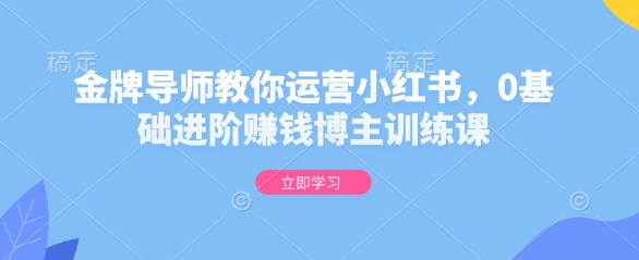 金牌导师教你运营小红书，0基础进阶赚钱博主训练课-仙女副业网