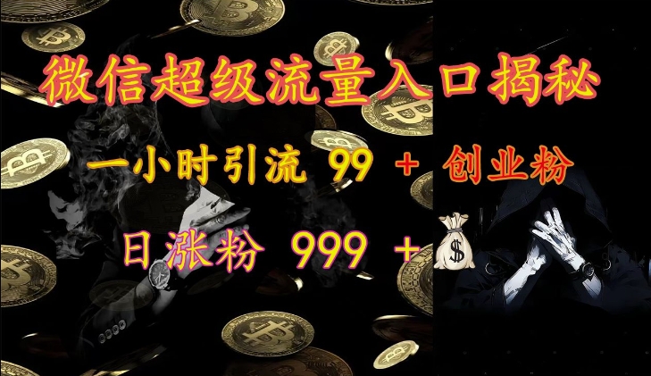 微信超级流量入口揭秘：一小时引流 99 + 创业粉，日涨粉 999 +-仙女副业网