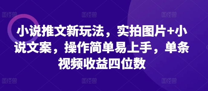 小说推文新玩法，实拍图片+小说文案，操作简单易上手，单条视频收益四位数-仙女副业网