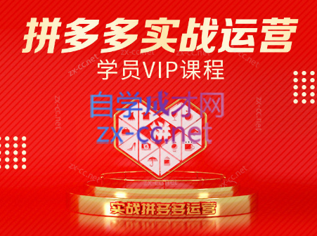 推易电商·拼多多实战运营课(更新2025月)-仙女副业网