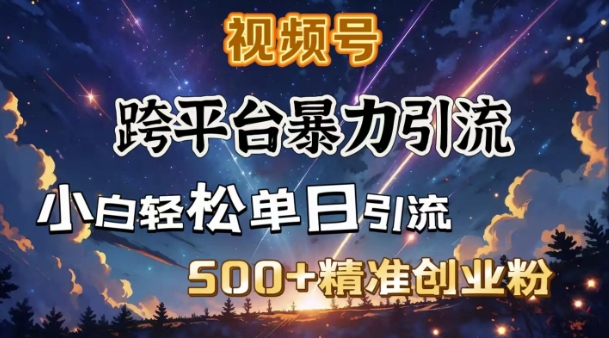 跨平台暴力引流，私域完美闭环，日引500+精准创业粉-仙女副业网