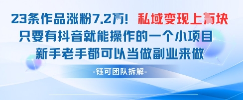 抖音私域项目23条作品涨粉7.2W，私域变现1W-仙女副业网