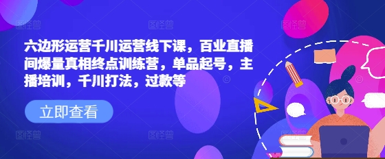 六边形运营千川运营线下课，百业直播间爆量真相终点训练营，单品起号，主播培训，千川打法，过款等-仙女副业网