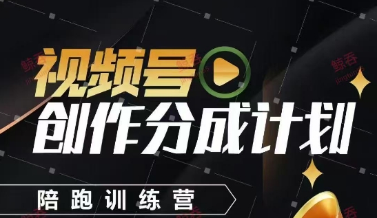 视频号创作分成计划陪跑训练营，手把手教会你如何制作视频，细水长流型项目-仙女副业网