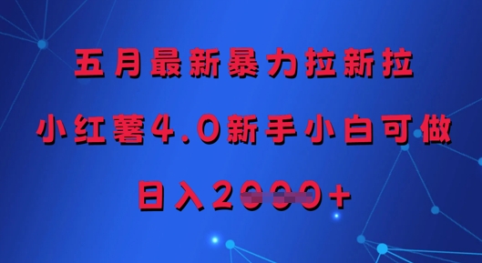五月最新暴力拉新拉，小红薯4.0新手小白可做，日入多张-仙女副业网