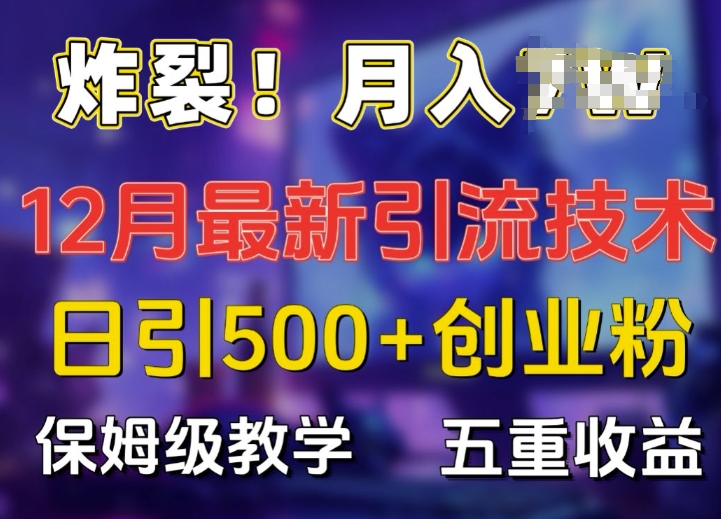 炸裂!揭秘12月最新日引流500+精准创业粉，多重收益保姆级教学-仙女副业网