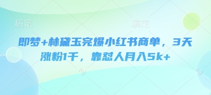 即梦+林黛玉完爆小红书商单，3天涨粉1千，靠怼人月入5k+-仙女副业网