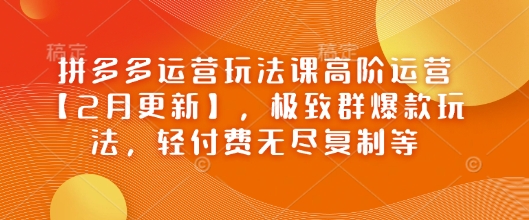 拼多多运营玩法课高阶运营【2月更新】，极致群爆款玩法，轻付费无尽复制等-仙女副业网