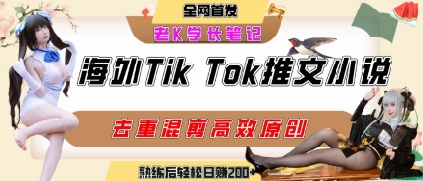 海外tiktok小说推文暴力项目，高停留率，高转化率，上手后一天搞顿饭钱不是问题-仙女副业网