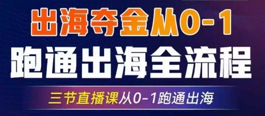 2025出海夺金从0-1跑通出海全流程，三节直播课从0-1跑通出海，教你用AI跑通全流程-仙女副业网