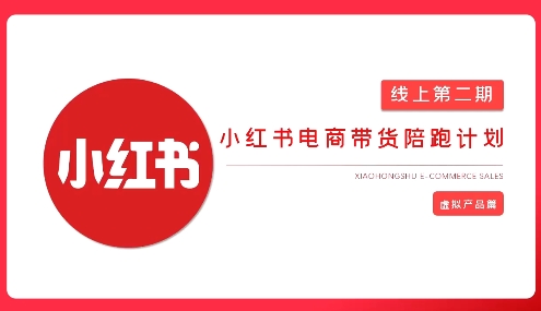 2025小红书虚拟电商实战课-仙女副业网
