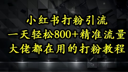 小红书打粉引流，一天轻松500+精准流量，大佬都在用的打粉教程-仙女副业网
