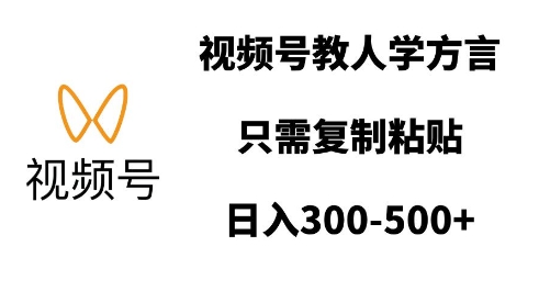 视频号教人学方言，只需复制粘贴，日入多张-仙女副业网