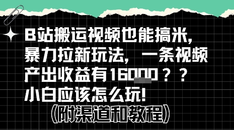b站掘金计划？搬运视频也能挣拉新的收益，小白应该怎么玩！-仙女副业网