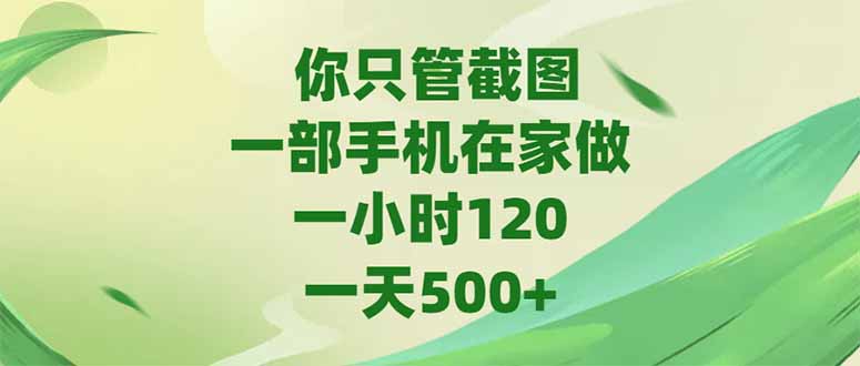 你只管截图，一部手机在家做，一小时120，-天500+-仙女副业网