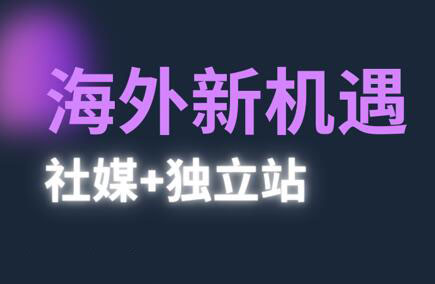 棕榈·2025出海新机遇(社媒+独立站)-仙女副业网