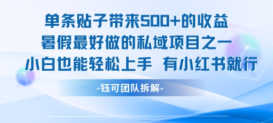 单条贴子带来5张的收益，暑假最好做的私域项目之一，小白也能轻松上手，有小红书就行-仙女副业网
