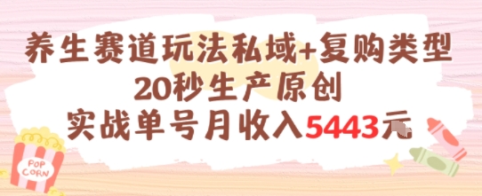 养生赛道玩法私域+复购类型，20秒生产原创实战单号月收入5k+-仙女副业网