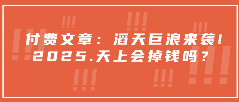 付费文章：滔天巨浪来袭！2025天上会掉钱吗？-仙女副业网