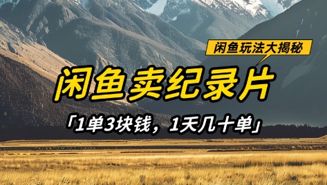 闲鱼卖纪录片1单3块钱，1天几十单，项目稳定有潜力-仙女副业网