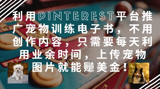 利用Pinterest平台推广宠物训练电子书，不用创作内容，只需要每天利用业余时间，上传宠物图片就能挣美金!-仙女副业网