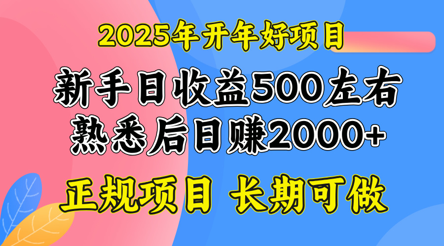 2025开年好项目，单号日收益2000左右-仙女副业网