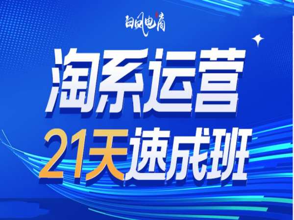 淘系运营21天速成班35期，年前最后一波和2025方向-仙女副业网
