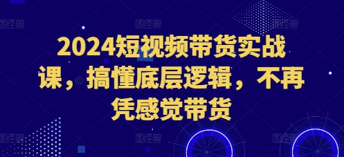 2024短视频带货实战课，搞懂底层逻辑，不再凭感觉带货-仙女副业网