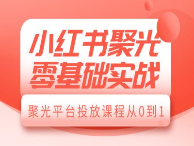 小红书聚光零基础实战，聚光平台投放课程从0到1-仙女副业网