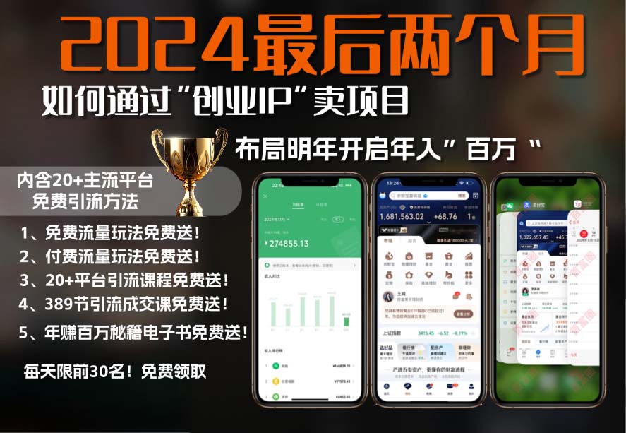 2024最后两个月如何通过”创业IP“卖项目年入”百万“,创业IP+最强引流...-仙女副业网