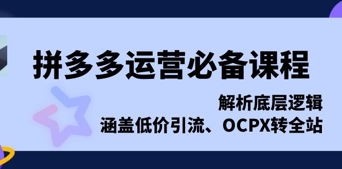 拼多多运营必备课程，解析底层逻辑，涵盖低价引流、OCPX转全站-仙女副业网