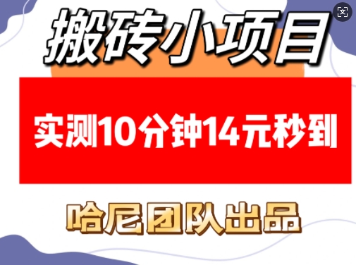 搬砖小项目，实测10分钟14元秒到，每天稳定几张(赠送必看稳定)-仙女副业网
