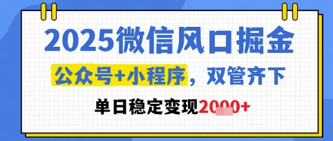2025微信风口掘金，公众号+小程序双管齐下，单日稳定变现1k+【揭秘】-仙女副业网