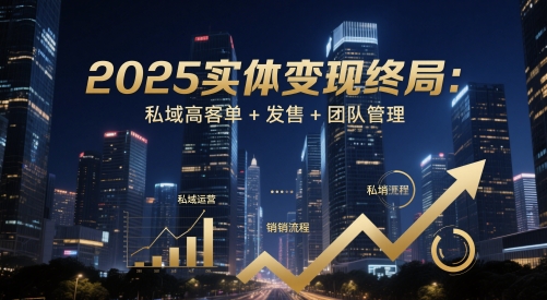 2025实体变现终局：私域高客单+发售+团队管理-仙女副业网