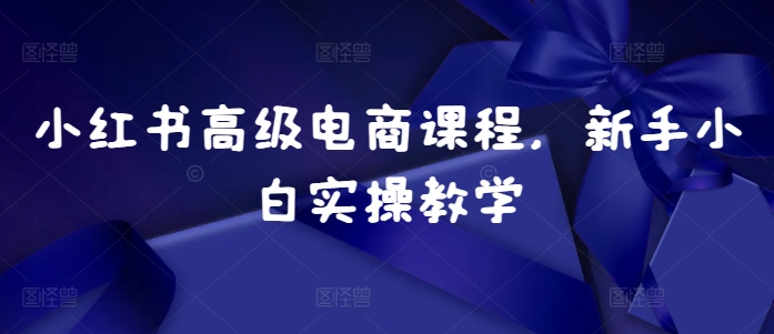 小红书高级电商课程，新手小白实操教学-仙女副业网