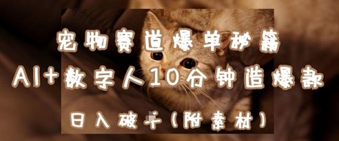 宠物赛道爆单秘籍：AI+数字人10分钟造爆款，日入1k-仙女副业网