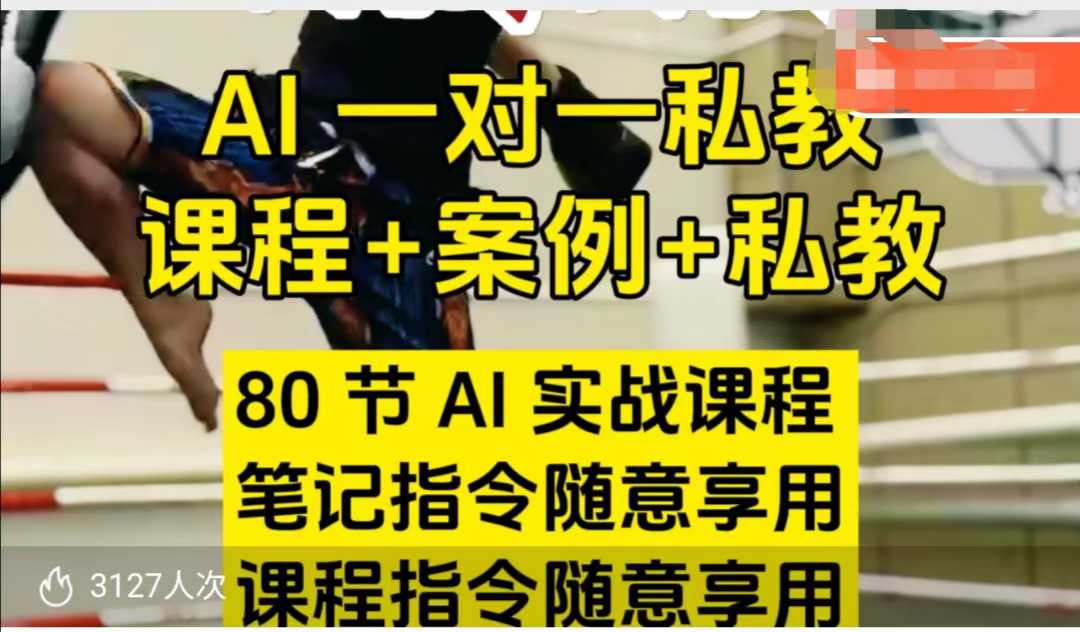 AI指令实战课，课程+案例，80节AI实战课程，笔记指令随意享用，课程指令随意享用(更新7月)-仙女副业网