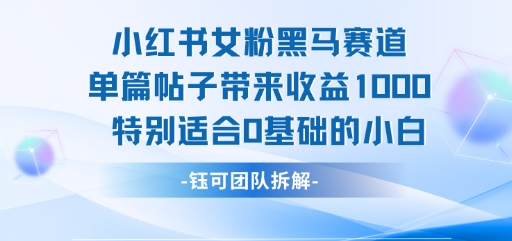 小红书女粉黑马赛道单篇帖子带来收益1k+，特别适合0基础的小白-仙女副业网
