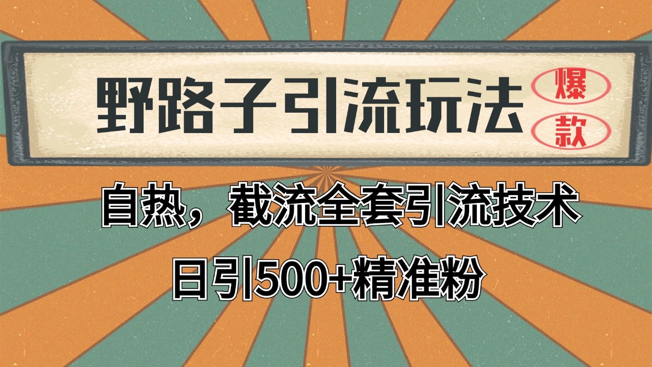 2024首发野路子引流玩法截流自热全平台打法，全自动引流【日引2000+精准客户】-仙女副业网