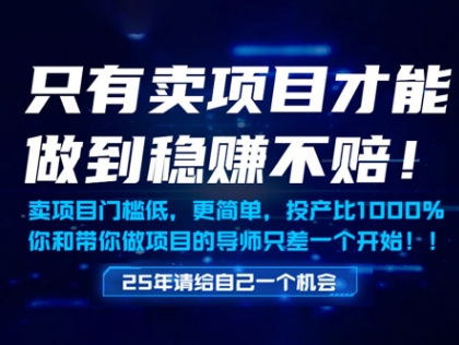 只有卖项目才能做到稳挣不赔，门槛低，更简单，你也可以年入百个W【揭秘】-仙女副业网
