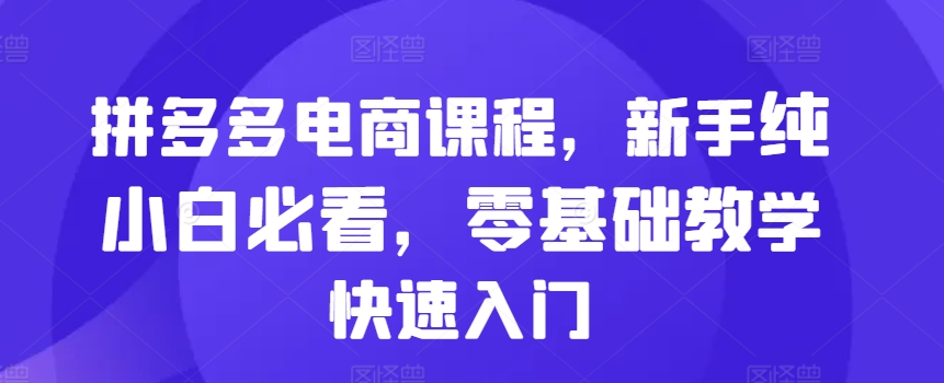拼多多电商课程，新手纯小白必看，零基础教学快速入门-仙女副业网