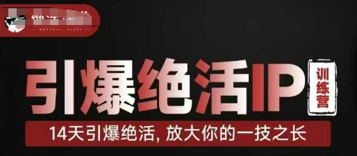 引爆绝活IP训练营，14天引爆绝活，放大你的一技之长-仙女副业网